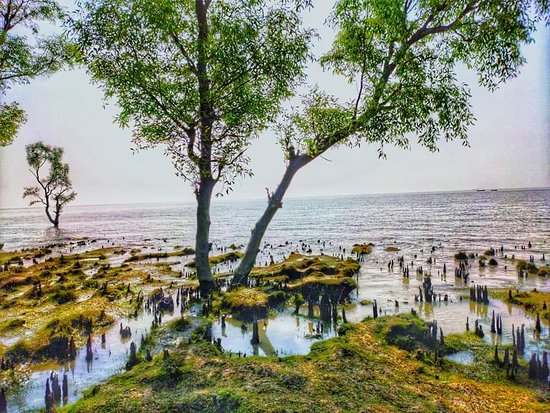 Guliakhali sea beach