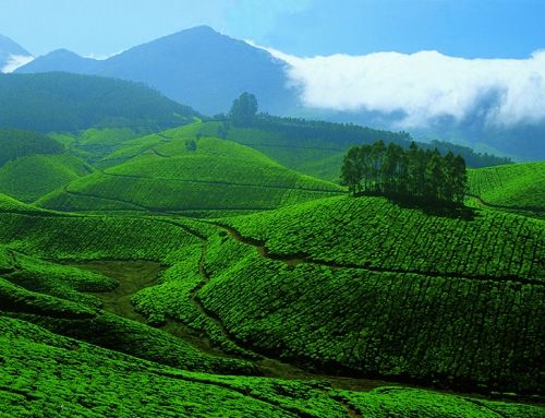 Sreemangal