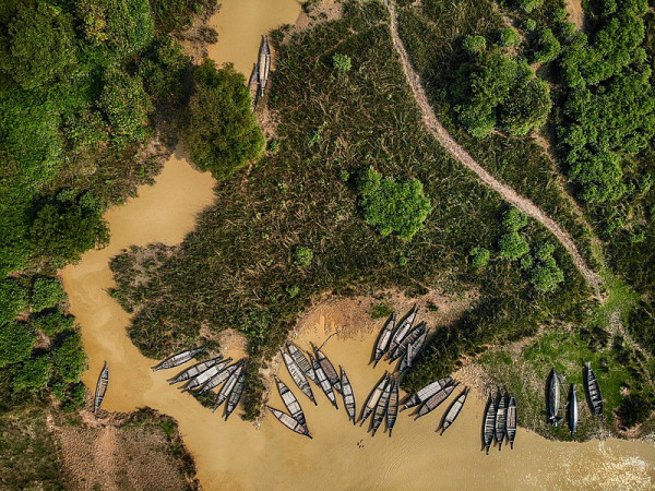 Ratargul Swamp Forest