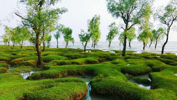 Guliakhali Sea Beach